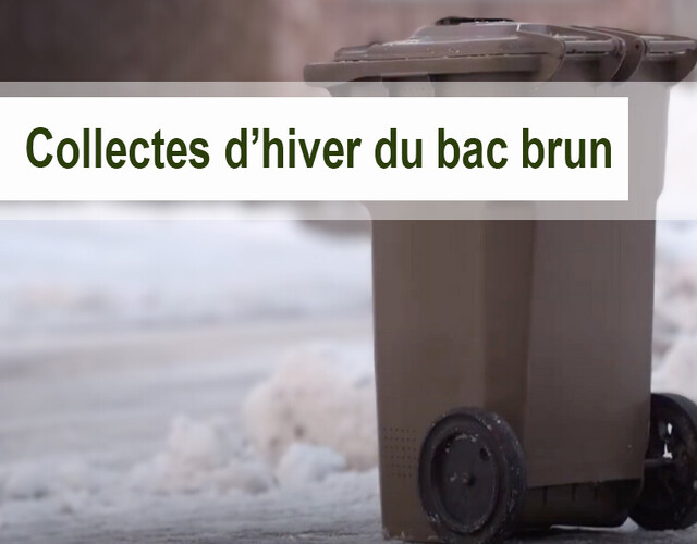 Collectes d'hiver du bac brun