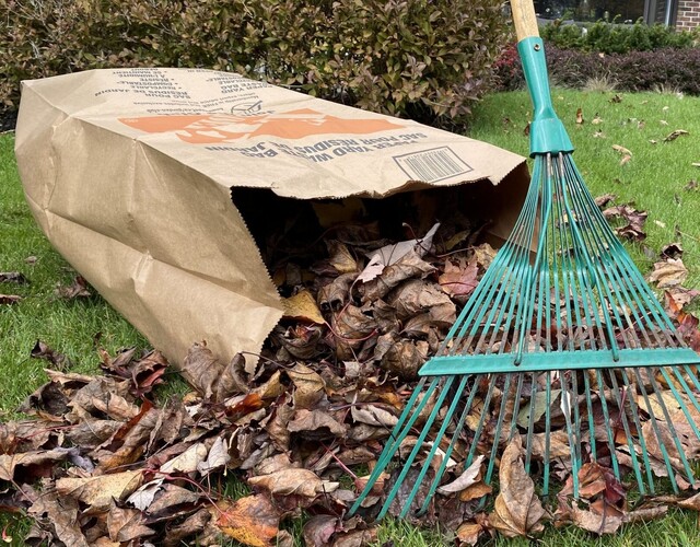 Rappel - Seulement des sacs de papier pour la collecte des feuilles (résidus verts)