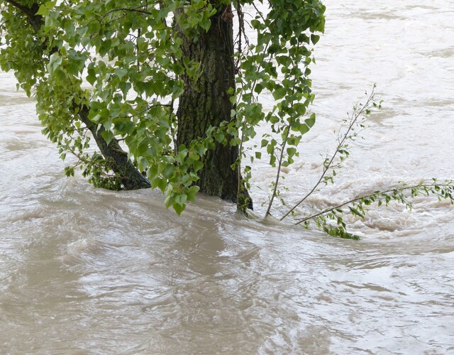 Suivi de la crue printanière 2026