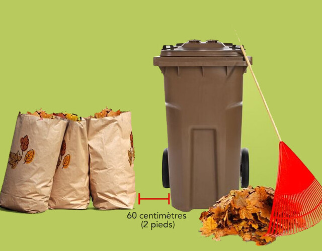 Prochaine collecte des feuilles